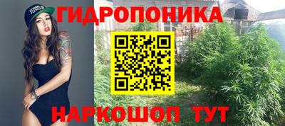 шишки Ливны