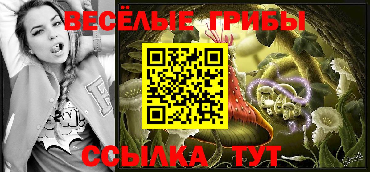 Зеленокумск  Галлюциногенные грибы Psilocybine cubensis  Псилоцибиновые грибы Magic Shrooms  Вход с VPN 